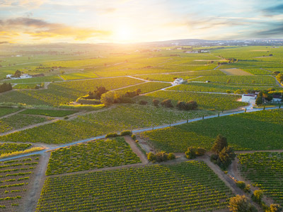 Aerial Video/Photography